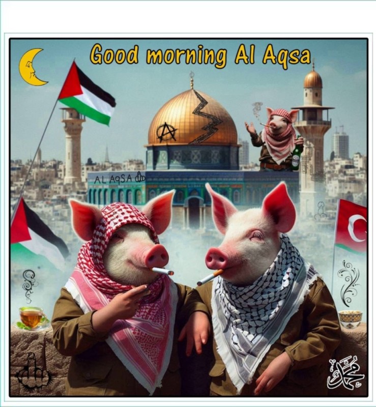 Create meme: Palestine and Israel, piggy vs, pigs