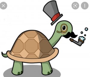 Создать мем: черепаха зеленая, черепаха иллюстрация, черепаха панцирь