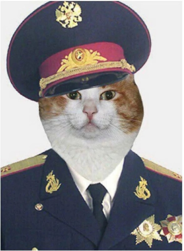 Create meme: cat general, the cat in the form, cat 