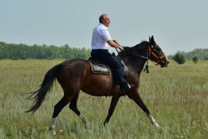 Создать мем: седло, верховая езда, конь