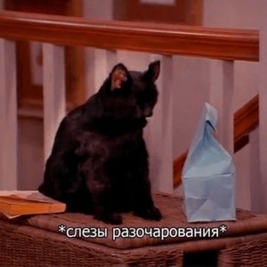 Create meme: Salem, cats, cat