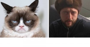 Create meme: grumpy cat, cat meme