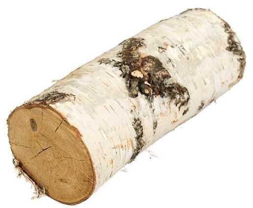 Create meme: log, the beam on a white background, birch log