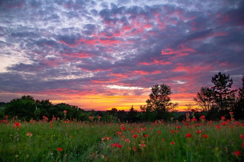 Create meme: sunset in the field, landscape , The scenery is beautiful