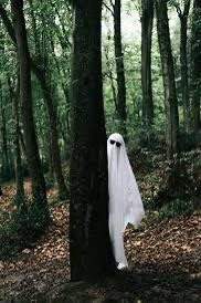 Создать мем: призрак в лесу, темнота, привидение