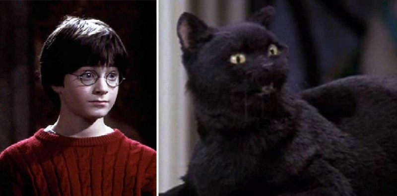 Create meme: Salem the cat Sabrina the little witch, cat salem, Harry Potter 2001