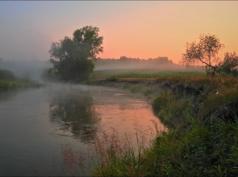 Create meme: morning on the river, morning fog on the river, summer morning on the river