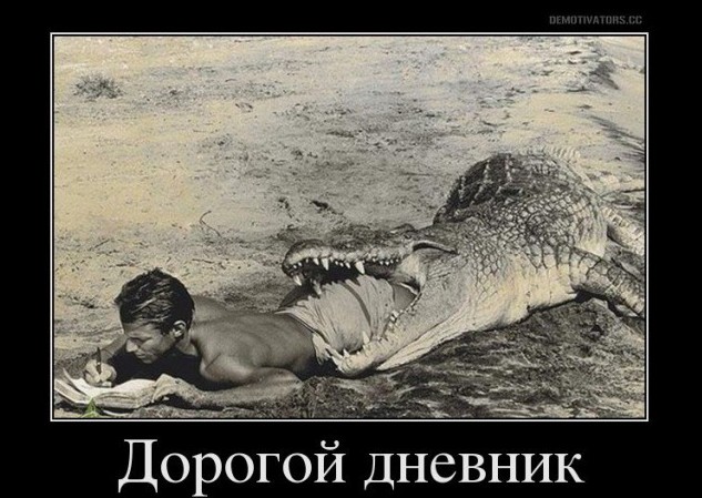 Create meme: people, crocodile crocodile, funny crocodile