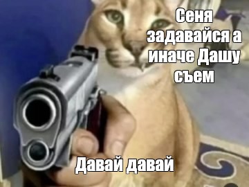 Создать мем: null