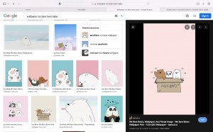 Create meme: the polar bear is cute, bear cute, screenshot