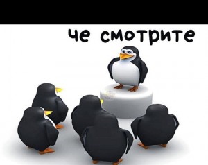 Create meme: the penguins of Madagascar, memes penguin, penguin
