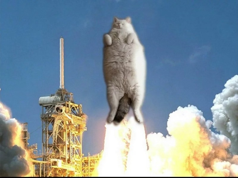 Create meme: cat on a rocket, cat on a rocket, space rocket