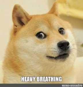 heavy breathing dog meme