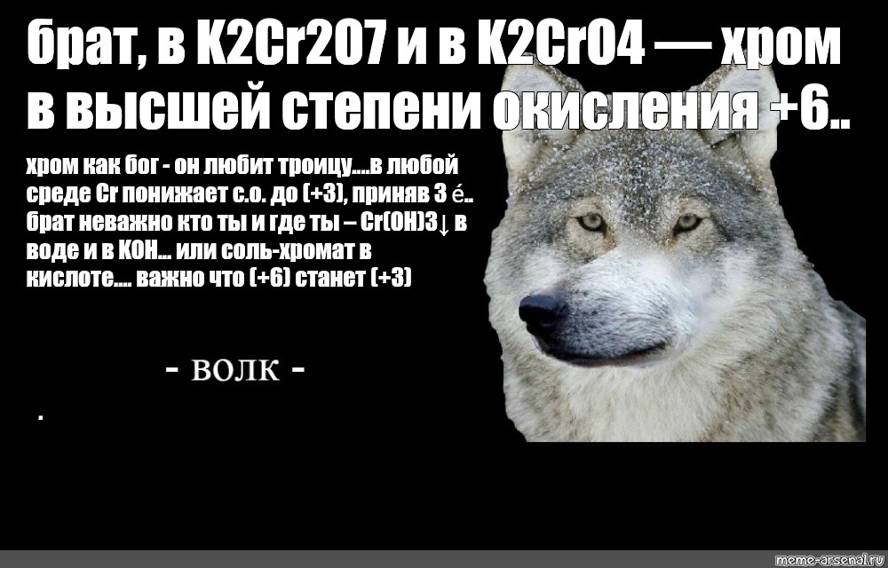 Их виль нихт мем волк. Волк брат Мем. Брат за брата Мем волки. Цитаты волка про брата. Брат брату волк мемы.