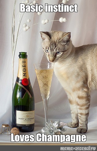 Create Meme Cats Drink Wine Champagne Cat With A Bottle Of Wine Pictures Meme