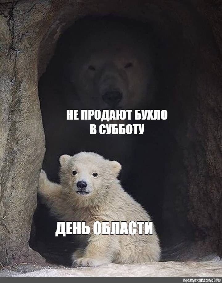 Гоооол мем с медведем