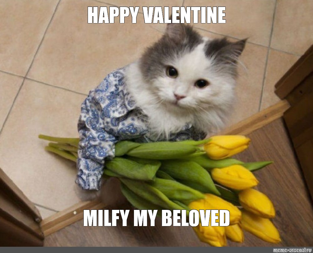 Meme "HAPPY VALENTINE MILFY MY BELOVED" All Templates