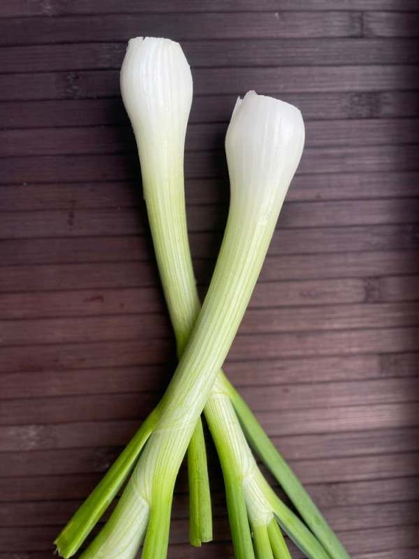 Create meme: leek, home plant, green onion