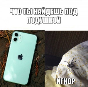 Create meme: fun, the release of the new iPhone meme, iphone 11