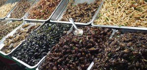 Create meme: cockroach, food cockroaches Thailand, Thailand food insects