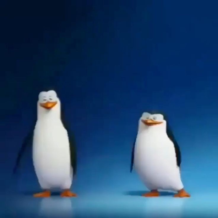 Create meme: penguins of Madagascar skipper, penguin , penguin 