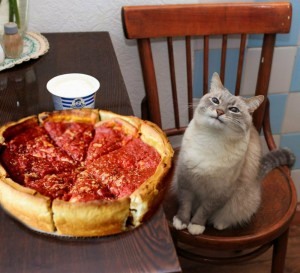 Create meme: cat jazz, pizza cat, cat with pizza