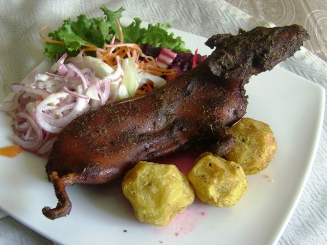 Create meme: Cook the guinea pig, fried guinea pig kui, guinea pig dish