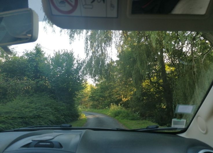 Create meme: view from the driver's seat, road , nature 