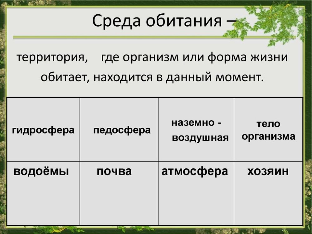 Изучи картинку и ответь на вопросы эта среда жизни носит название