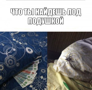 Создать мем: подушка смешные картинки, Текстиль, чистка подушек картинки