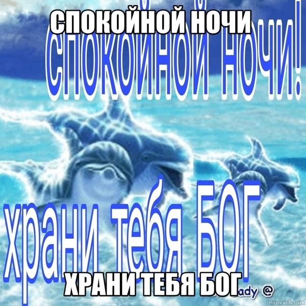 Create meme: Good night with the sea, Good night with the dolphins, Good night fish