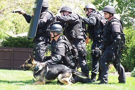 Create meme: swat k9, special forces of the Austrian police, police k9 doberman