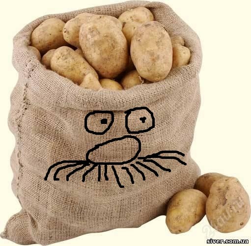 Create Meme Potatoes Potatoes A Sack Of Potatoes Pictures Pictures Meme Arsenal Com