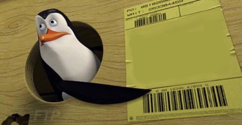 Create meme: The penguin meme in the box, the kowalski penguin from madagascar, The penguin meme from Madagascar