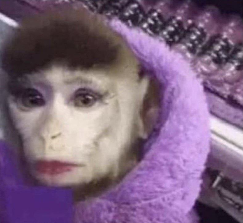 Создать мем: накрашенная обезьянка, сам себе режиссер 1997 перловка, обезьяна с макияжем