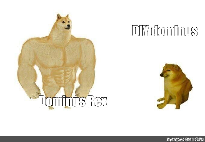 Diy Dominus