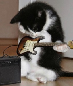 Создать мем: кот, рок кот, котенок с электрогитарой