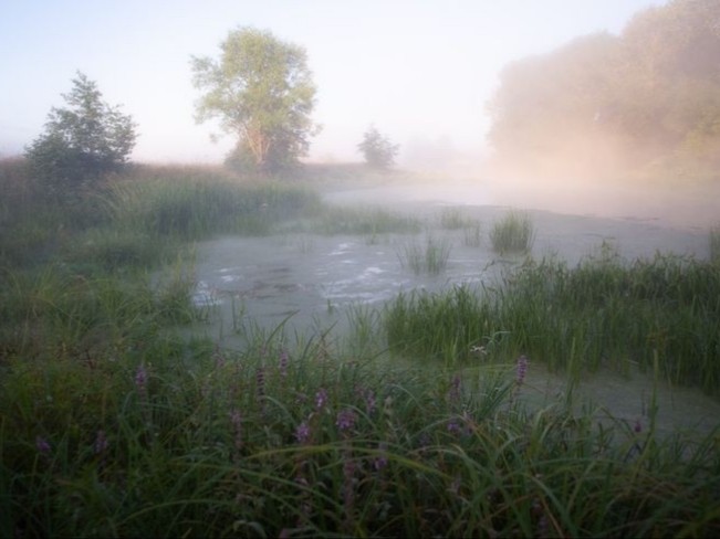 Create meme: lake in the fog, morning landscape, morning on the river