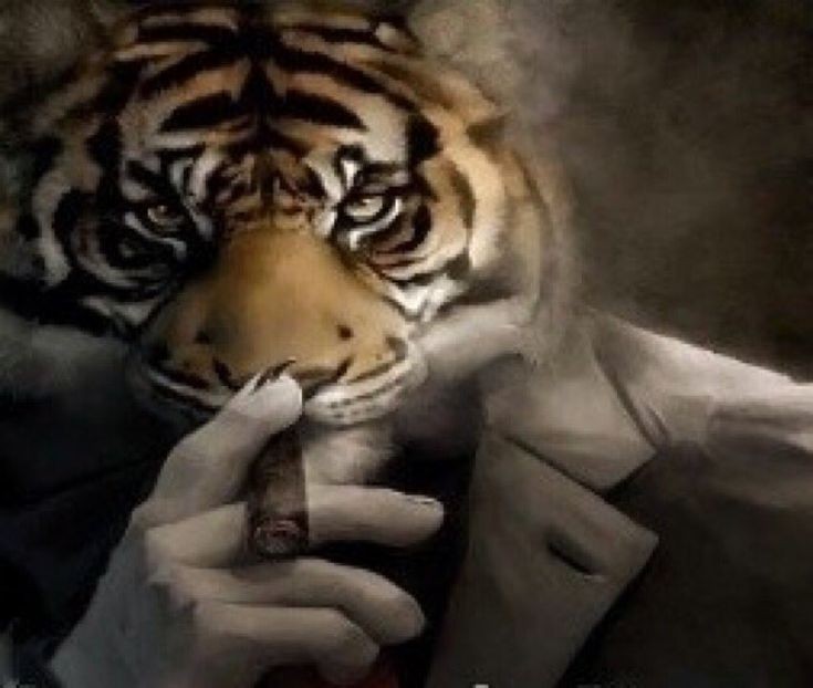 Create meme: The smoking tiger, tiger in a suit, people 