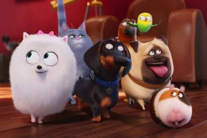 Create meme: the secret life of Pets 2 cartoon 2018, photos from the movie the secret life of Pets, the secret life of Pets 2