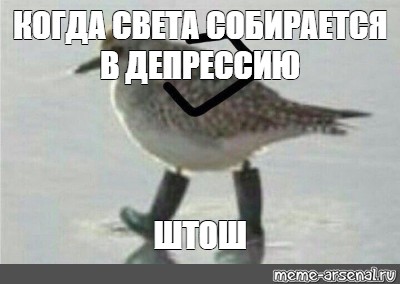 Штош