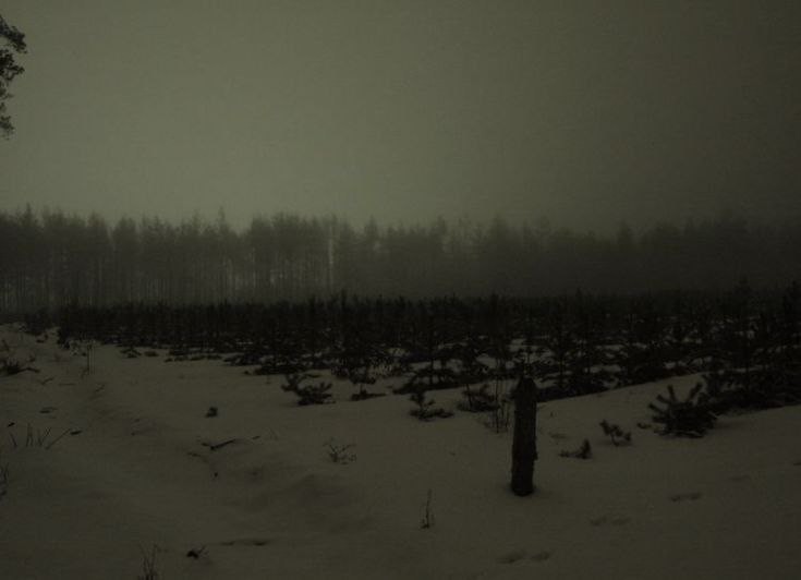 Create meme: dark aesthetic ZIMA, Gloomy forests, gloomy winter forest