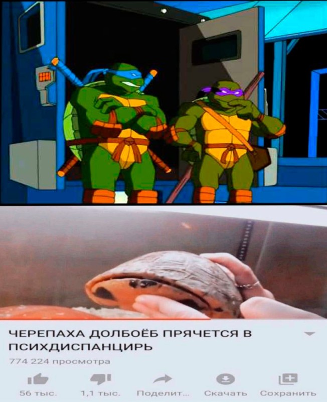 Create meme: teenage mutant ninja turtles, turtles 2003, teenage mutant ninja turtles are old