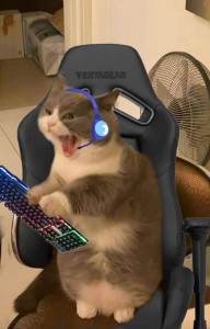 Create meme: the cat gamer, animals funny, animals funny