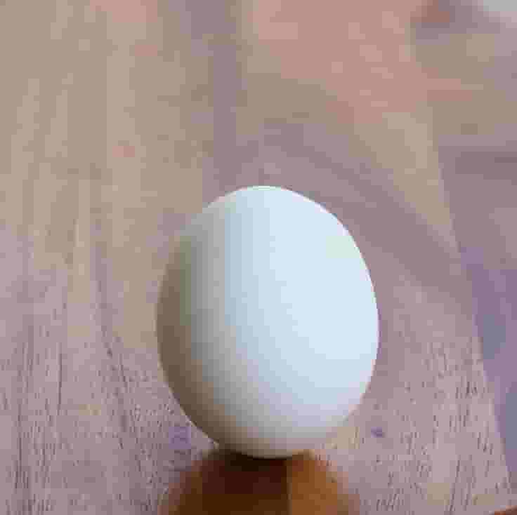 Create meme: chicken egg, ameraukana eggs, ostrich egg weight