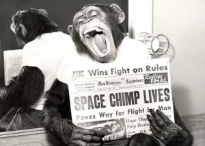 Создать мем: 1971 год кого, space monkey, chimp