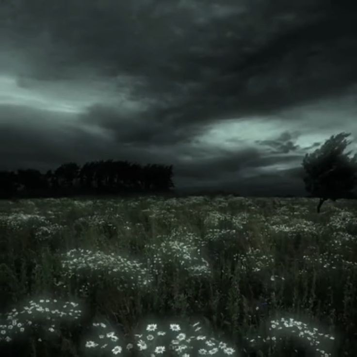 Create meme: the sky before the rain, nature before a thunderstorm, the sky before a thunderstorm