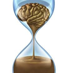 Create meme: the brain drawing on a transparent background, dementia pictures of the brain, the efficiency of the human brain on white background