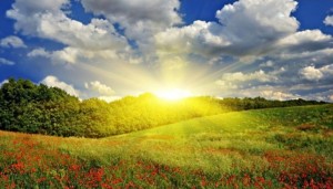 Create meme: poppies landscape, the picture sunrise, landscape