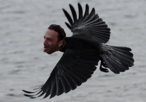 Create meme: voron, the raven, birds of the Moscow region